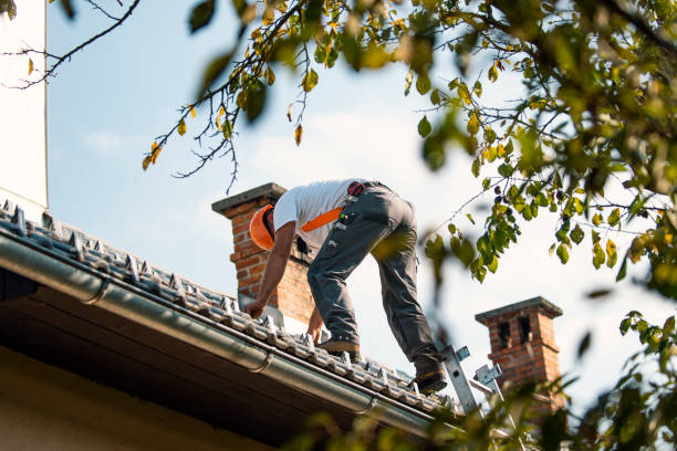Best Storm Damage Roof Repair  in Scranton, PA