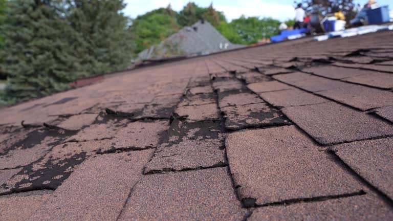 Best Wood Shake Roofing  in Scranton, PA
