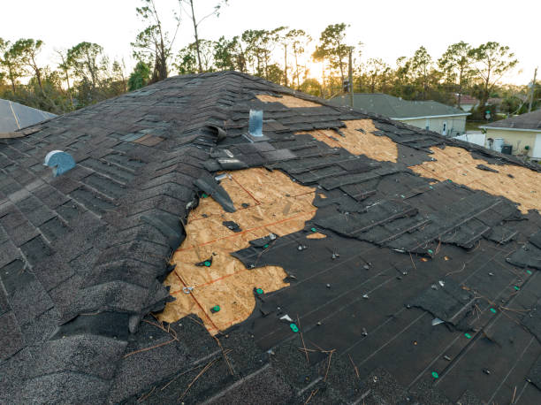 Best Roof Waterproofing  in Scranton, PA